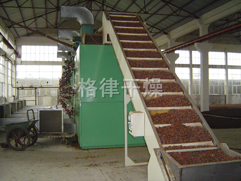 DWC系列脱水蔬菜带式干燥机